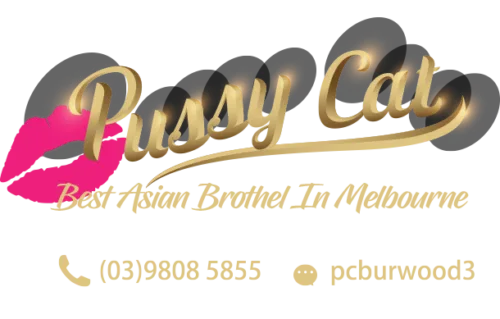 Pussycats Burwood — Best Asian Brothel in Melbourne